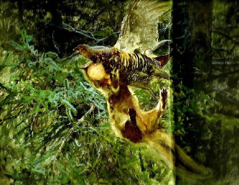 bruno liljefors barrskog med skogsmard anfallande en orrhona France oil painting art